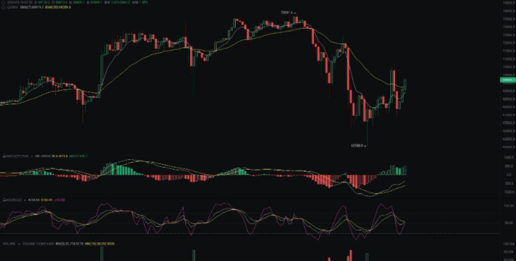 一文了解：主流币和山寨币的区别